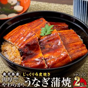 ふるさと納税 大崎町 うなぎ 蒲焼 160g×2...の商品画像