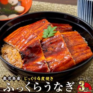 ふるさと納税 大崎町 うなぎ 蒲焼 160g×3尾【鹿児島産】地下水で育てた逸品鰻