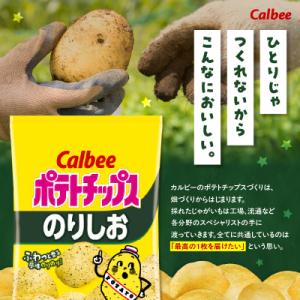 ふるさと納税 鹿児島市 カルビー ポテトチップ...の詳細画像1