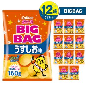 ふるさと納税 鹿児島市 ポテトチップス BIGB...の商品画像