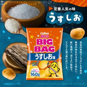 ふるさと納税 鹿児島市 ポテトチップス BIG...の詳細画像2