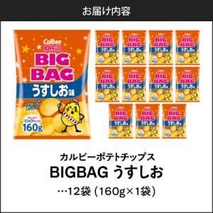 ふるさと納税 鹿児島市 ポテトチップス BIG...の詳細画像3