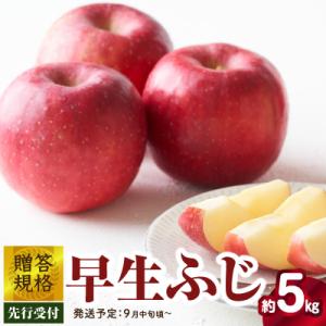 ふるさと納税 大江町 《先行受付》贈答規格 早生ふじ約5kg【2025年9月中旬頃〜発送予定】 01...