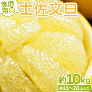 ふるさと納税 香南市 【訳あり】文旦 10kg 家庭用 10キロ 土佐文旦 柑橘系 果物 柑橘類 フ...