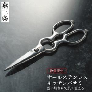 ふるさと納税 三条市 オールステンレスキッチンバ...の商品画像