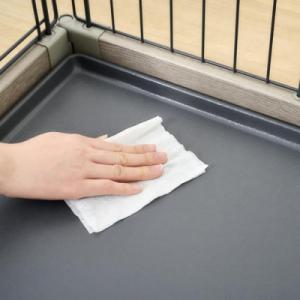 ふるさと納税 角田市 【72枚入り×10パック...の詳細画像3