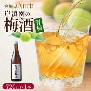 ふるさと納税 角田市 【宮城県角田市の梅酒】岸浪園の梅酒　青梅　720ml×1本