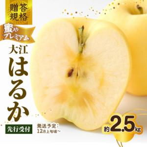 ふるさと納税 大江町 《先行受付》贈答規格 蜜入りプレミアム大江はるか約2.5kg 特秀〜秀 015-059