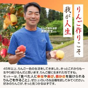 ふるさと納税 大江町 《先行受付》贈答規格 蜜...の詳細画像2