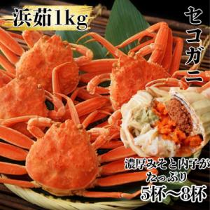 ふるさと納税 紋別市 ボイルセコガニ1kg| セイコ蟹 ズワイガニメス 子持ち