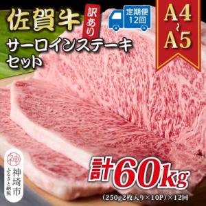 ふるさと納税 神埼市 【12か月定期便】訳あり【A4〜A5】佐賀牛サーロインステーキ 計5kg×12回(H112222)