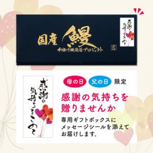 ふるさと納税 境町 【父の日までにお届け】 国...の詳細画像1