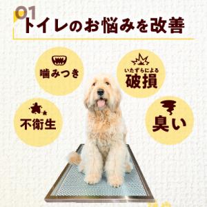 ふるさと納税 小牧市 犬用ステンレス製トイレト...の詳細画像1
