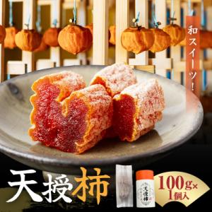 ふるさと納税 天草市 和スイーツ!天授柿(干し柿) 100g×1個_S111-006
