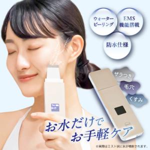 送料無料 森修焼 アーススタビライザー ガンマプラス 1個入り 自然健康