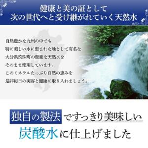 ふるさと納税 玖珠町 biora天然シリカ 炭...の詳細画像2