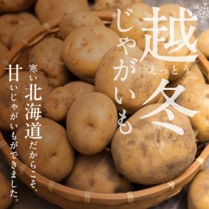 ふるさと納税 清水町 先行予約!ホクホク あま...の詳細画像1