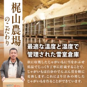 ふるさと納税 清水町 先行予約!ホクホク あま...の詳細画像2