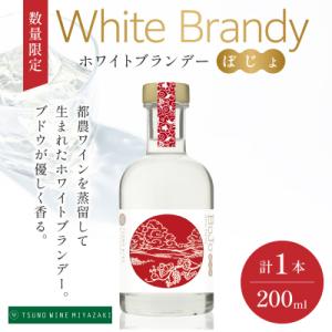 ふるさと納税 都農町 【数量限定】ホワイトブランデーBojo(計1本) 酒 飲料 アルコール 国産_...
