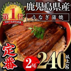 ふるさと納税 曽於市 無投薬!鹿児島県産うなぎ蒲焼セット<定番>(計240g以上・ 約120g×2尾)