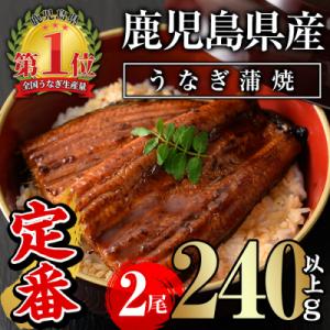 ふるさと納税 曽於市 無投薬!鹿児島県産うなぎ蒲焼セット<定番>(計240g以上・ 約120g×2尾...