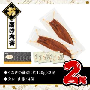 ふるさと納税 曽於市 無投薬!鹿児島県産うなぎ...の詳細画像1