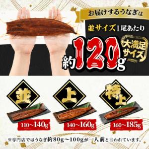 ふるさと納税 曽於市 無投薬!鹿児島県産うなぎ...の詳細画像2