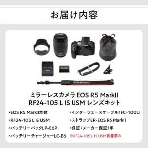 ふるさと納税 大分市 ミラーレスカメラ EOS...の詳細画像3