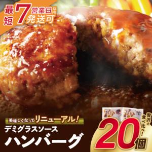 ふるさと納税 福智町 【7営業日以内発送】どっちのハンバーグ!?デミグラスソース20個セット