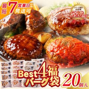 ふるさと納税 福智町 Best4バーグ ハンバーグ 20個セット(合挽4種 各5