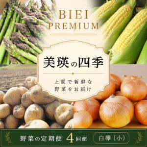 ふるさと納税 美瑛町 【令和9年産 先行予約】野菜 定期便 4回便 美瑛の四季〜白樺(小)〜
