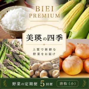 ふるさと納税 美瑛町 【令和9年産 先行予約】野菜 定期便 5回便 美瑛の四季〜唐松(小)〜