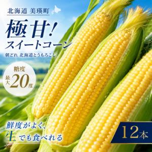 ふるさと納税 美瑛町 とうもろこし 12本【令和...の商品画像