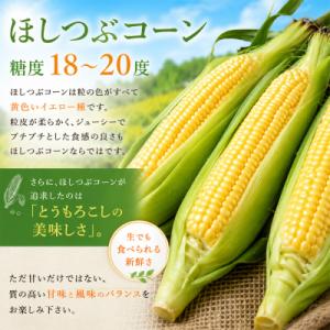 ふるさと納税 美瑛町 とうもろこし 12本【令...の詳細画像1