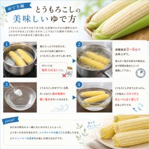 ふるさと納税 美瑛町 とうもろこし 12本【令...の詳細画像2