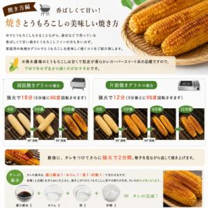 ふるさと納税 美瑛町 とうもろこし 12本【令...の詳細画像3