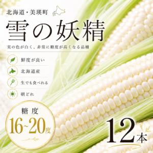 ふるさと納税 美瑛町 とうもろこし 雪の妖精 12本 北海道 令和8年産