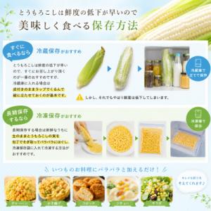 ふるさと納税 美瑛町 とうもろこし 雪の妖精 ...の詳細画像2