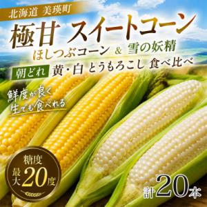 ふるさと納税 美瑛町 とうもろこし ほしつぶコーン&雪の妖精 各10本 計20本【令和9年産先行受付】北海道 黒木農場｜Yahoo!ふるさと納税