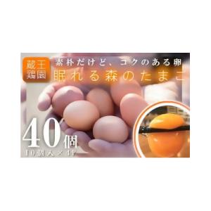 ふるさと納税 蔵王町 眠れる森のたまご　朝採れ卵40個  【04301-0324】