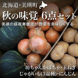 ふるさと納税 美瑛町 ≪令和8年産先行受付!≫美景農園　秋の味覚6点セット