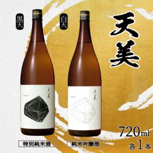 ふるさと納税 下関市 日本酒 2本セット 特別純米酒 純米吟醸酒 天美 720ml×2 ES105
