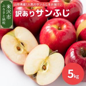 ふるさと納税 米沢市 【先行受付】令和7年産 訳あり りんご(サンふじ)5kg 2025年11月中旬...