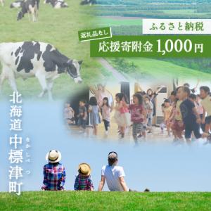 ふるさと納税 中標津町 中標津町への応援寄附 1,000円(返礼品なし)【10001】