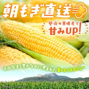 ふるさと納税 壮瞥町 <2026年8月初...の詳細画像1