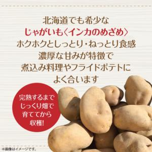 ふるさと納税 壮瞥町 <2026年8月下...の詳細画像1