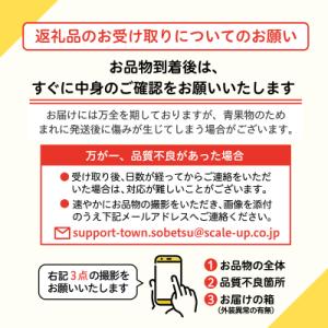 ふるさと納税 壮瞥町 <2026年8月初...の詳細画像3