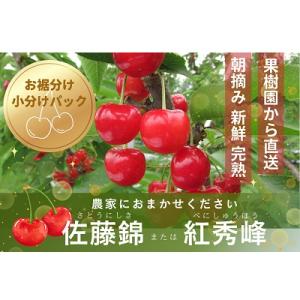ふるさと納税 上山市 さくらんぼ(佐藤錦か紅秀峰)1kg ご家庭用 0062-2501