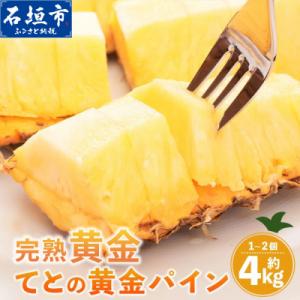 ふるさと納税 石垣市 【先行予約】完熟黄金 てとの黄金パイン 大玉 約4kg