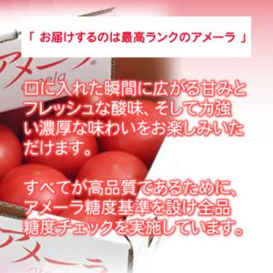ふるさと納税 小山町 アメーラトマト 人気 ト...の詳細画像2
